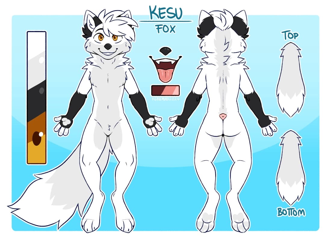 Refsheet